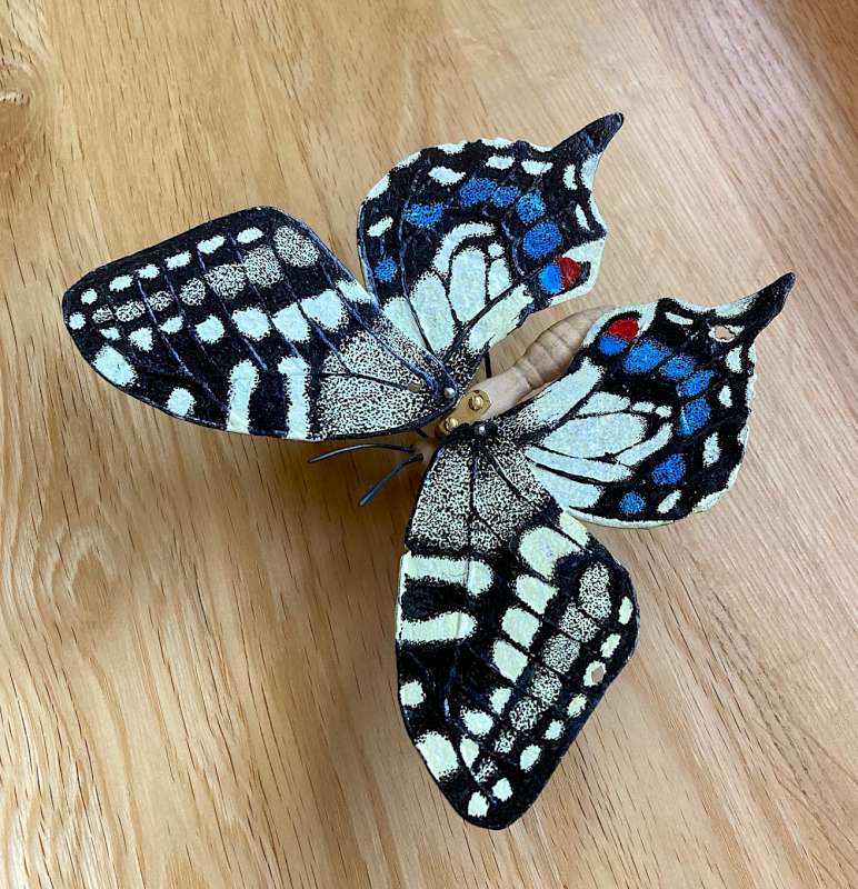 Swallow Tail II